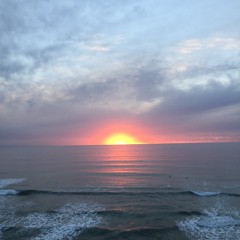 OpenOptics - True Love Never Fades