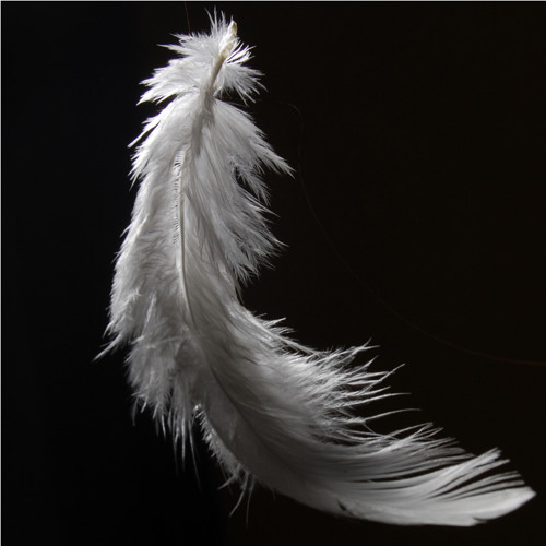 White Caresse
