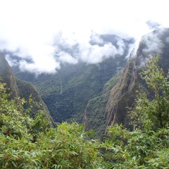 Iorie - Golden Spree