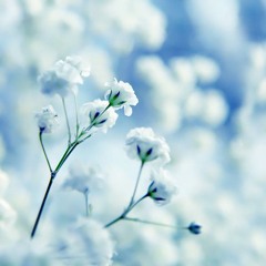 Gửi Cho Thời Thanh Xuân Rồi Sẽ Qua Của Chúng Ta