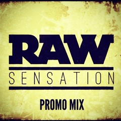 RAW Sensation Mix 2
