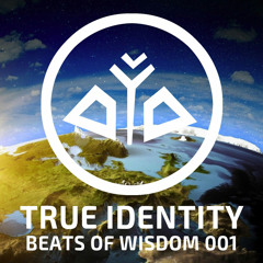 True Identity - Beats of Wisdom 001 (2hr Live DJ Set 432hz Ecstatic Dance music)