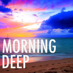 Habits (Stay High) - Tove Lo (Drop Dopers Remix)