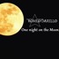 One Night On The Moon 2015 Remix