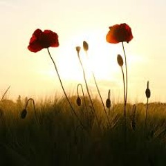 Flower Of War