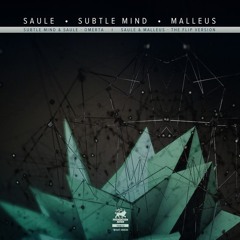 Malleus X Saule - The Flip Version (OUT NOW on Foundation Audio)