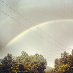 Likeness (OPB Virginia Coalition)