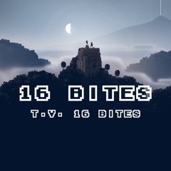T.V. 16 Bites