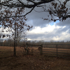 This Land Is Your Land