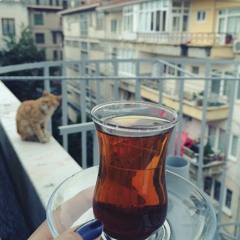 حبيبي شرب شاهي بنعناع