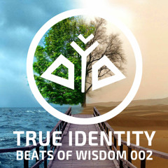 True Identity - Beats of Wisdom 002 (2hr Live DJ Set 432hz Ecstatic Dance Music)