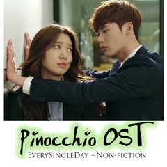 EverySingleDay - Non - Fiction (cover by vzfiidae)