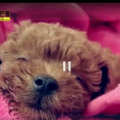 Thank you for the broken heart ~