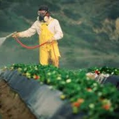 Pesticide - Econo