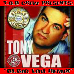 Tony Vega - Ella Es - Dj.Big Lou Remix - Sv-