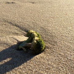 Electro Swing Cardio Mix