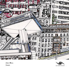 Joel Mull - Sending Probe