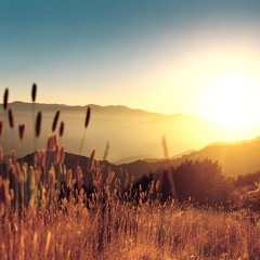 Chasers - Say Anything (Kishuni Remix) [!!FREE!! DOWNLOAD]