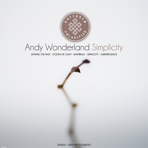 Andy Wonderland - Leaving The Past