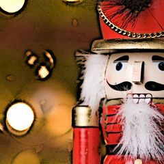 Diplotaxis - Der Nussknacker