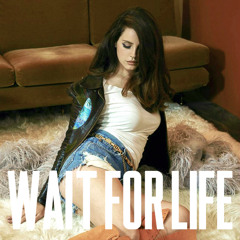 Wait For Life Emile Haynie - Feat. Lana Del Rey (Official Audio)