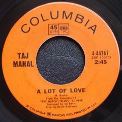 Taj Mahal - Ain't that a lot of love (Animal Mystik Remix) [FREE DL]