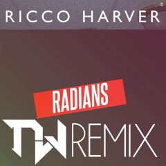 Ricco Harver - Radians (Nameless Warning Remix)