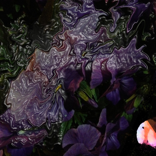 Stream Violet by Mr. Andrew's Garden Listen online for free on SoundCloud