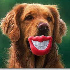 ChewToy - "Another Day"