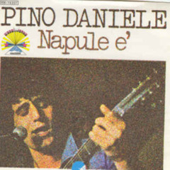 Napule e' - Pino Daniele- cover Salvo