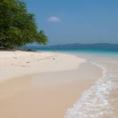 Alessi Bs - I Wish I Was