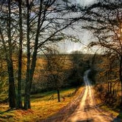 All The Way To Texas