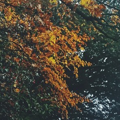 New Romantics - Taylor Swift - Anna Duncan