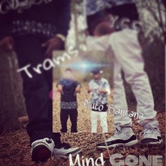 Mind Gone
