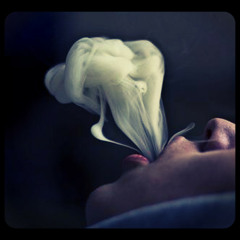 Alpha Omega - Smoke Out  prod. Raw Beats