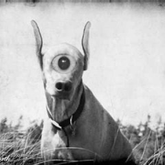 Prana - Alien Pets(Psycoholics Remix) [FREE DOWNLOAD]