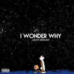 Lucci & Skooly Of Rich Kidz - I Wonder Why