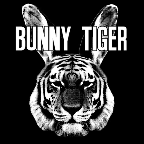 Illusionize - Record (Original Mix) Out Soon on BUNNY TIGER