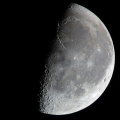 My Only Night (Feat. Alisha)