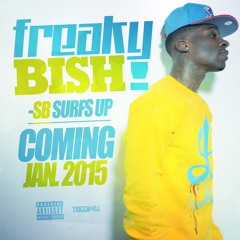 SB SurfsUp x Freaky Bish