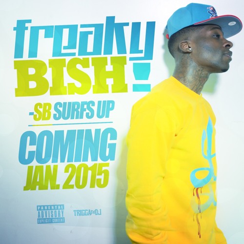 SB SurfsUp x Freaky Bish