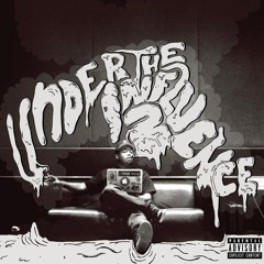 24 Hour Spitness - Domo Genesis