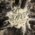 Artwork for Sarcasm (Ukulele Cover // Get Scared)