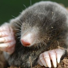 Hiding away (Instrumental)