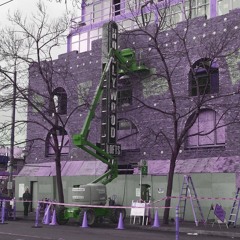 PLANTANGENET - You're Not Gonna Like The Future