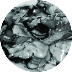 C POWERS - OYSTERS [proper-008] - 1Q 2015
