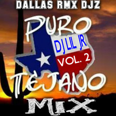PURO TEJANO MIX VOL. 2/ DJ LIL JR