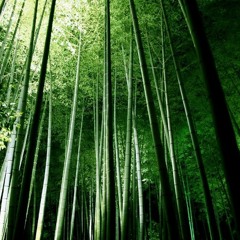 Chong Kee Yong : Timeless Echo's for cello and electronics - Arne Deforce Live