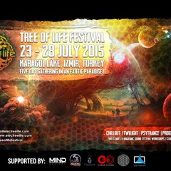 Otezuka @ Psychedelight Festival - Tree of Life festival entry.