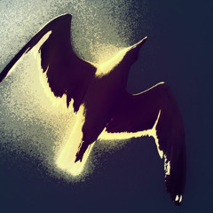 Blue Birds [91]